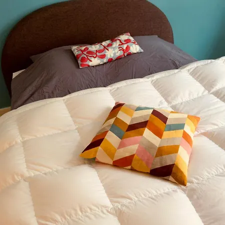 Grand T1 Tv 43' Avec Netflix - Canal Serie - Apple Tv - Ocs - - Dazen - Bein Sport - Prime Video * ナンシー