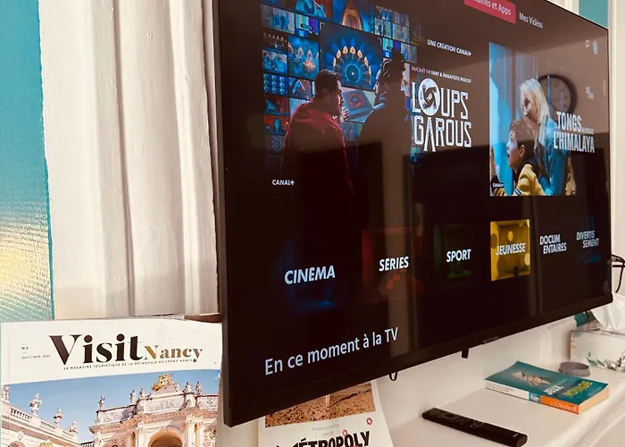 T1 Tv 43' Avec Netflix - Canal Serie - Apple Tv - Ocs - - Dazen - Bein Sport - Prime Video * Nancy